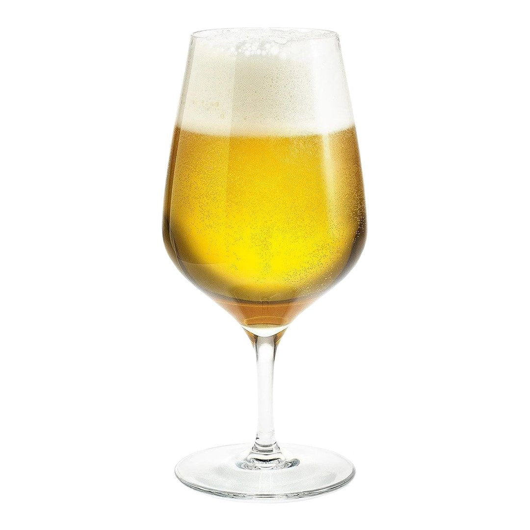 Holmegaard Perfection Beer Glasses, Set of 6