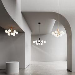 Apiales 9 Chandelier