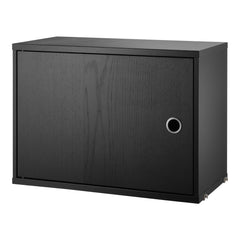 Cabinet with Swing Door