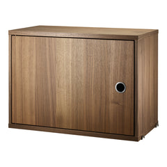 Cabinet with Swing Door