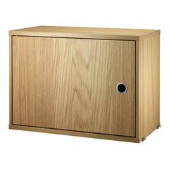 Cabinet with Swing Door