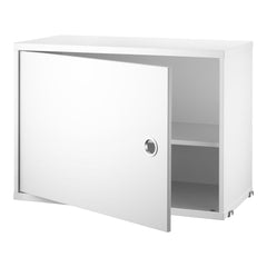 Cabinet with Swing Door