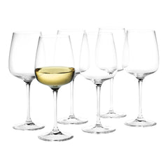 Bouquet Dessert Wine Glass - Set of 6