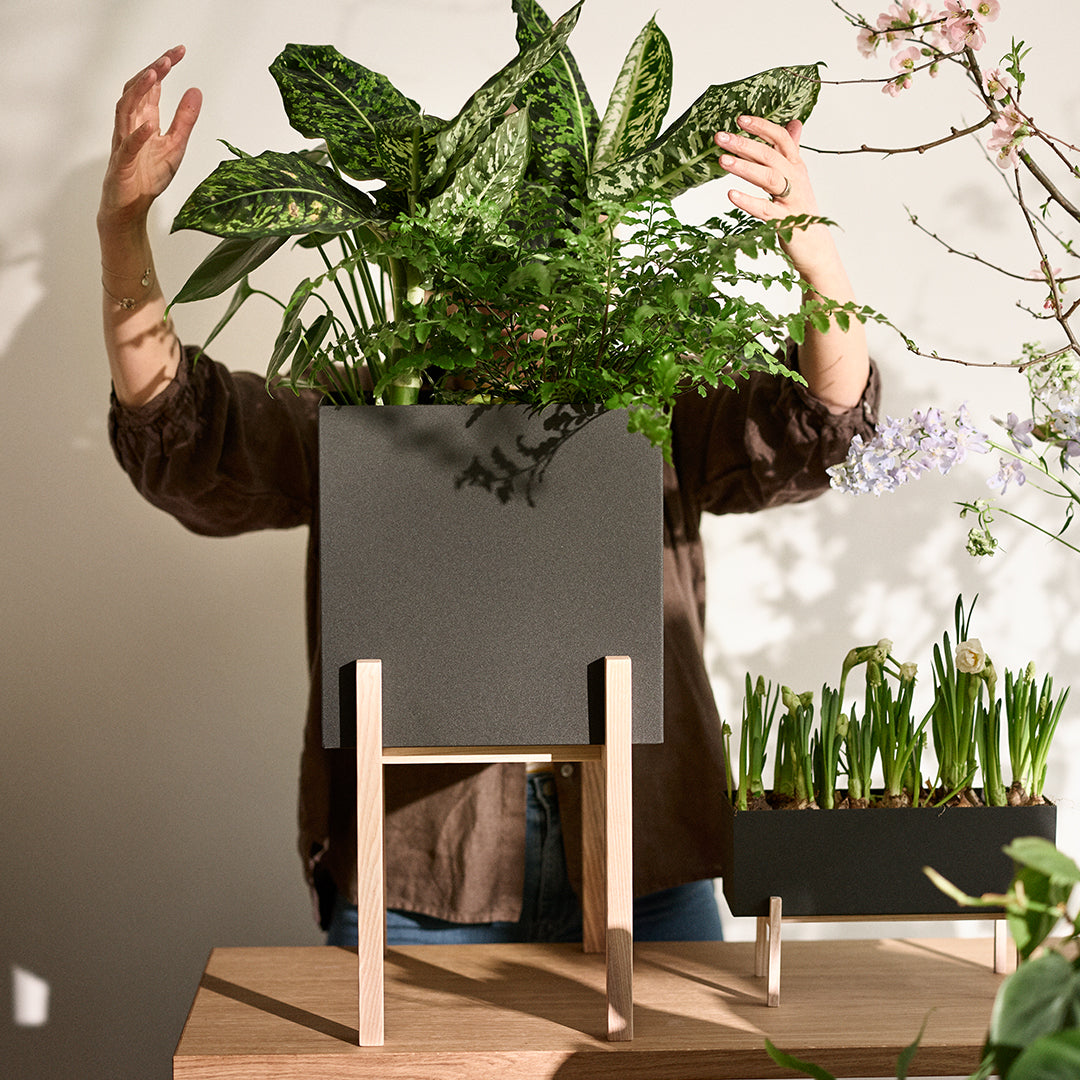 Botanic Pedestal Pot