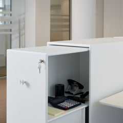 Cargo Storage Cabinet