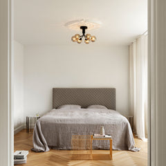 Apiales 6 Ceiling Fixture