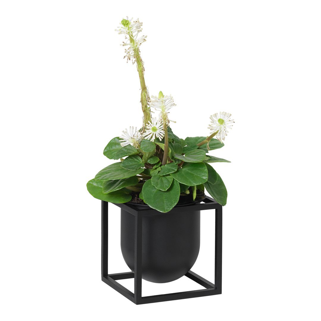 Kubus Flowerpot